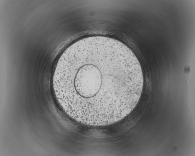 X0000114410534200911131430