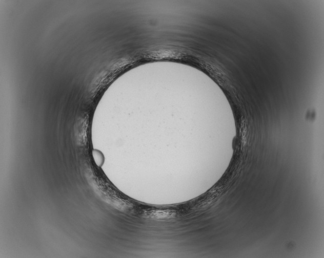 X0000114410546200911131431