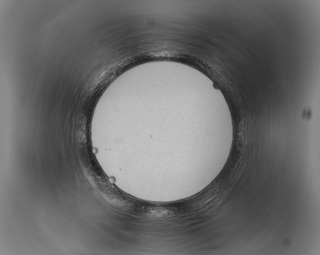 X0000114410547200911131431