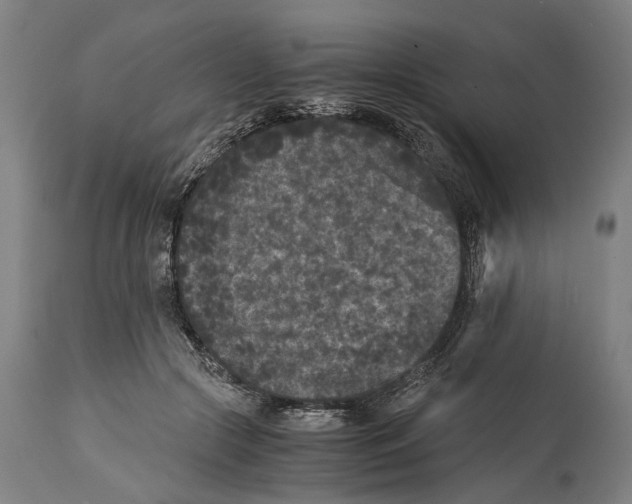 X0000114410553200911131431