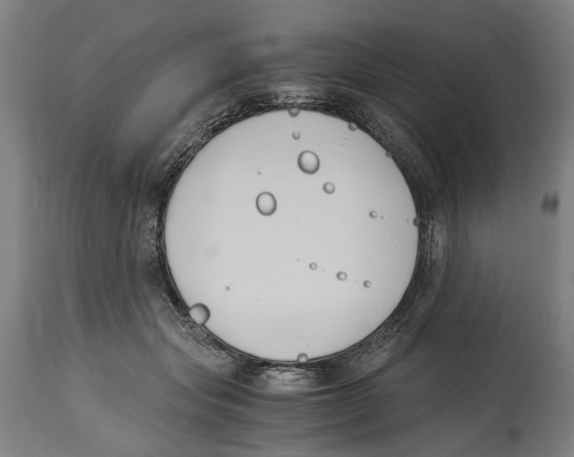 X0000114410557200911131431