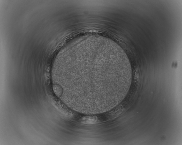 X0000114410559200911131431