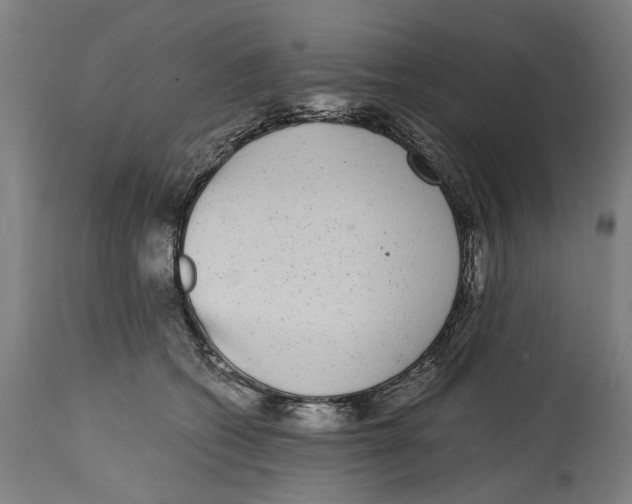 X0000114410562200911131431