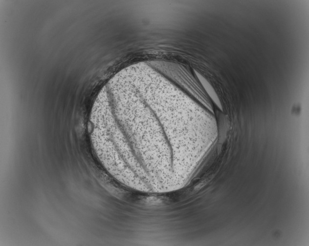 X0000114410566200911131431