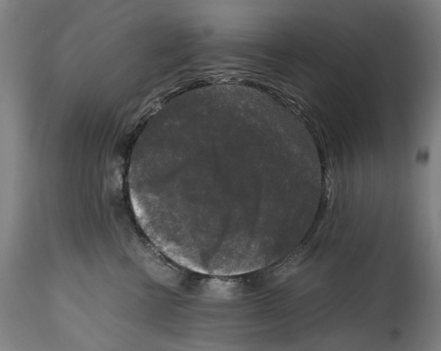 X0000114410570200911131431