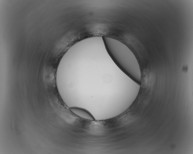 X0000114410573200911131431