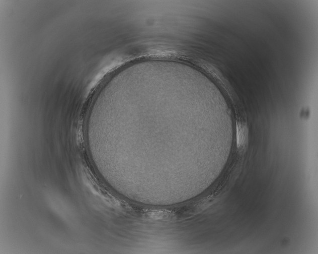 X0000114410579200911131430