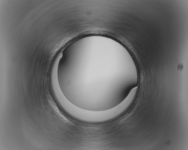 X0000114410581200911131430