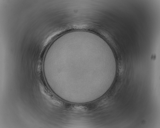 X0000114410583200911131430