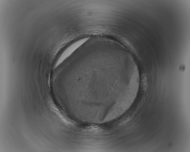 X0000114410589200911131430