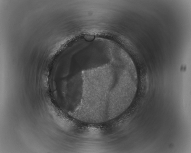 X0000114410592200911131430