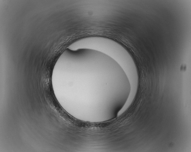 X0000114410593200911131430