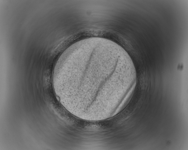 X0000114410594200911131430