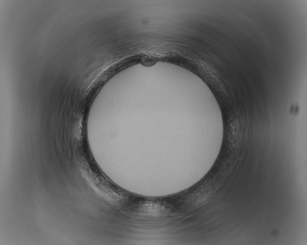 X0000114410596200911131430