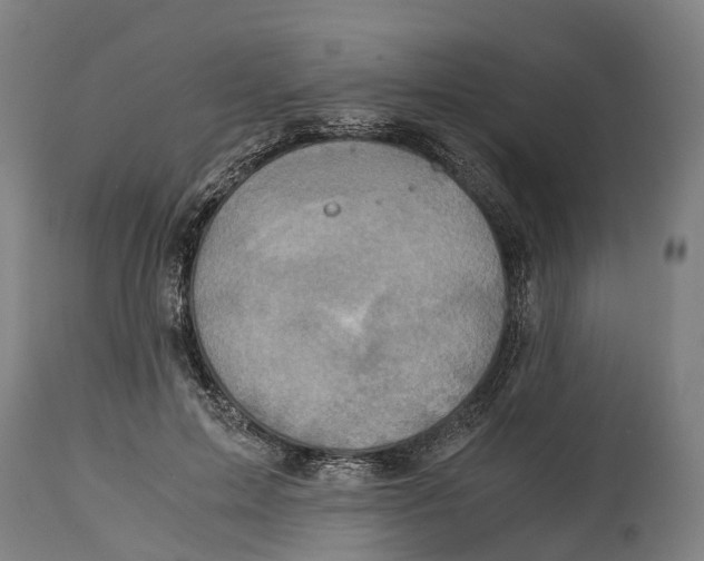 X0000114410599200911131430