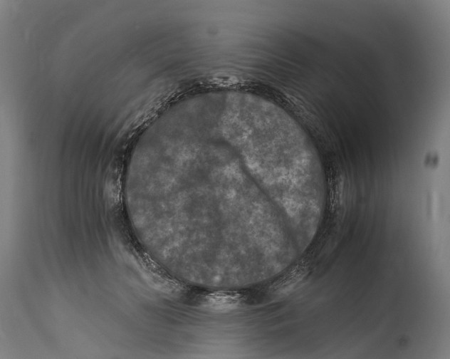 X0000114410606200911131430