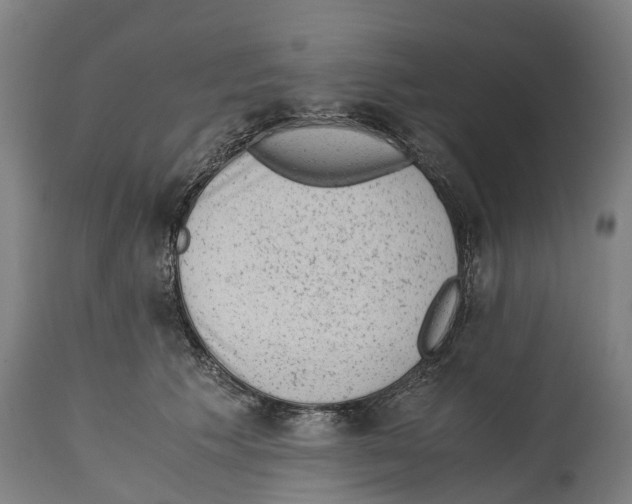 X0000114410609200911131430