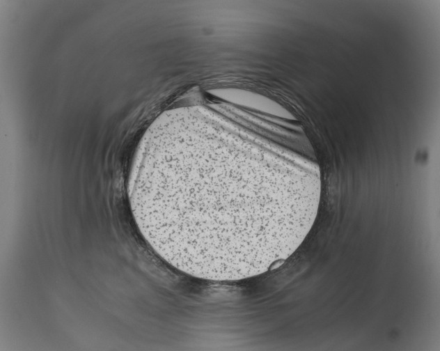 X0000114410617200911131429