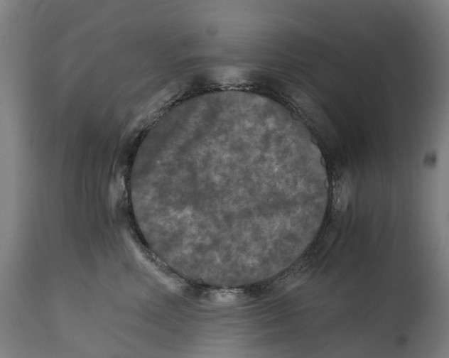 X0000114410618200911131429