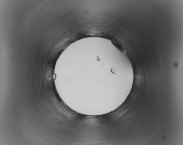 X0000114410620200911131429