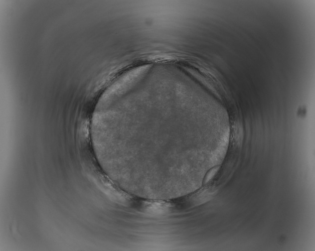 X0000114410621200911131429