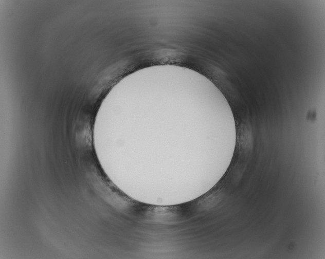 X0000114410622200911131429