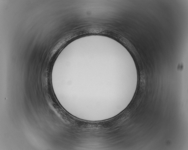 X0000114410626200911131429