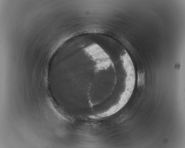 X0000114410627200911131429