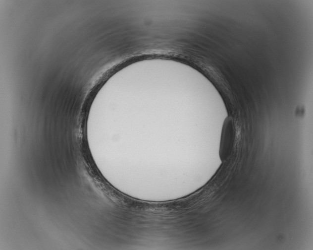 X0000114410628200911131429