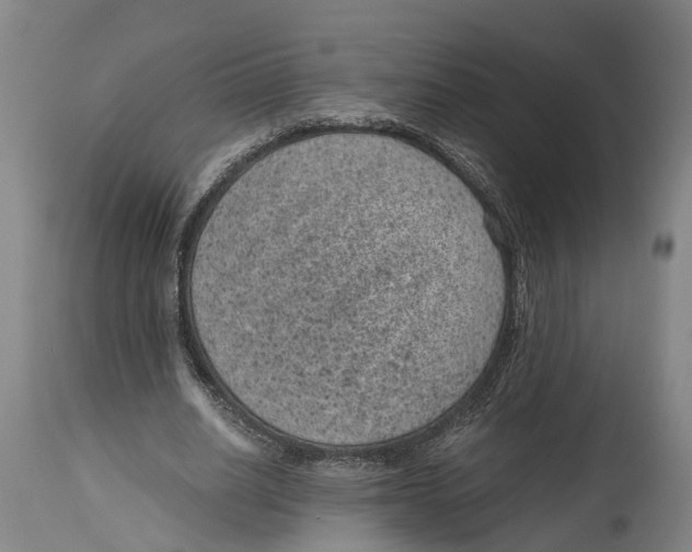 X0000114410630200911131429