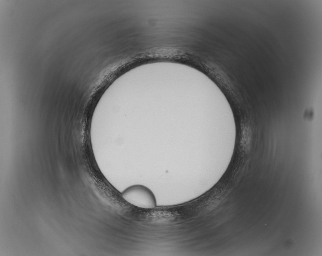 X0000114410636200911131429