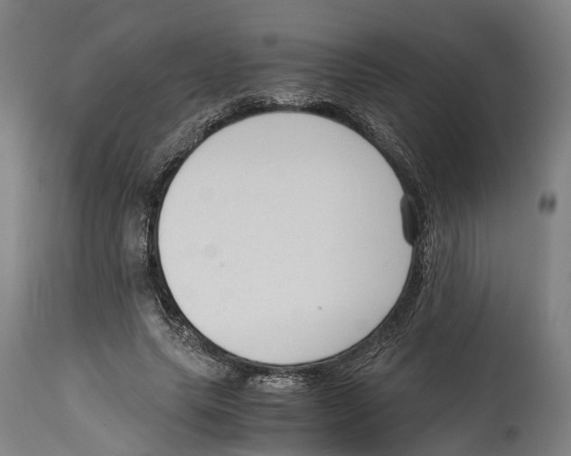 X0000114410639200911131429