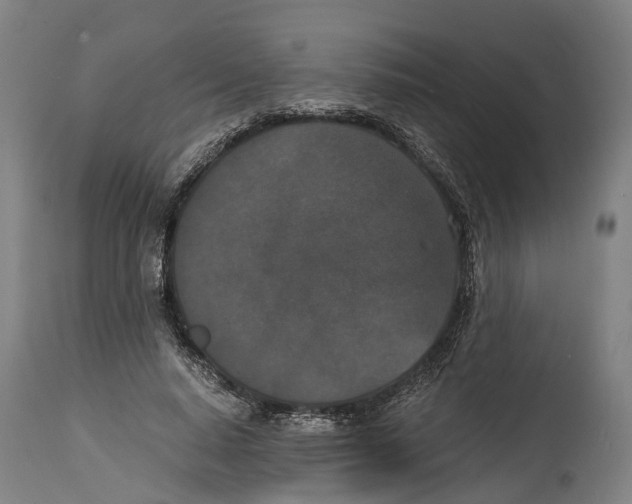 X0000114410640200911131429