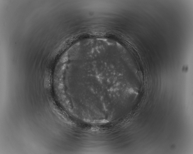 X0000114410641200911131429