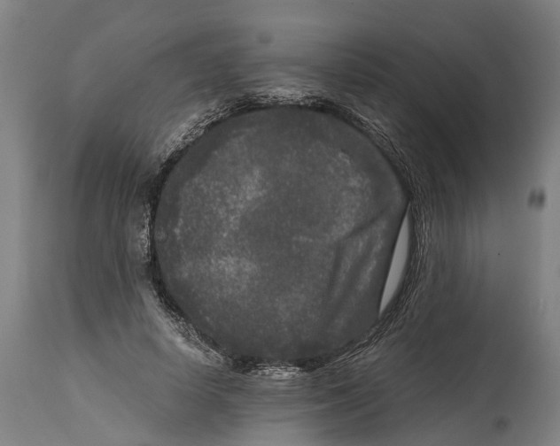 X0000114410642200911131429