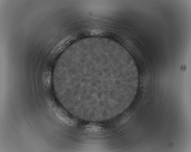 X0000114410648200911131429