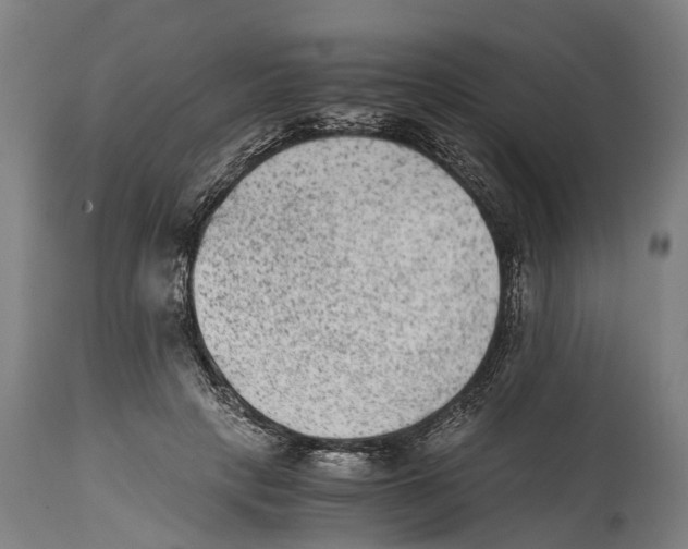 X0000114410649200911131429