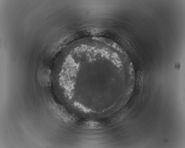 X0000114410650200911131429