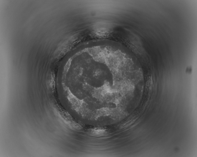 X0000114410651200911131429