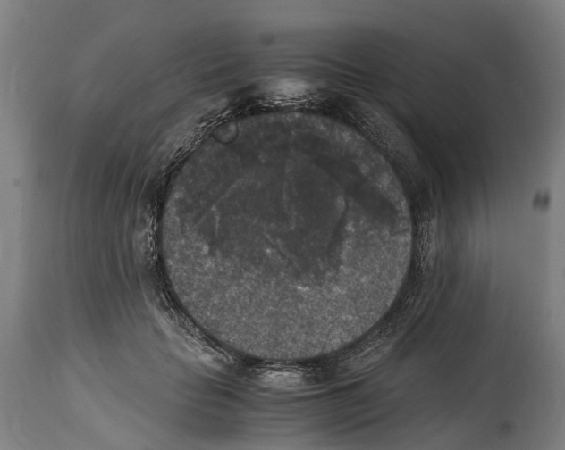 X0000114410653200911131429