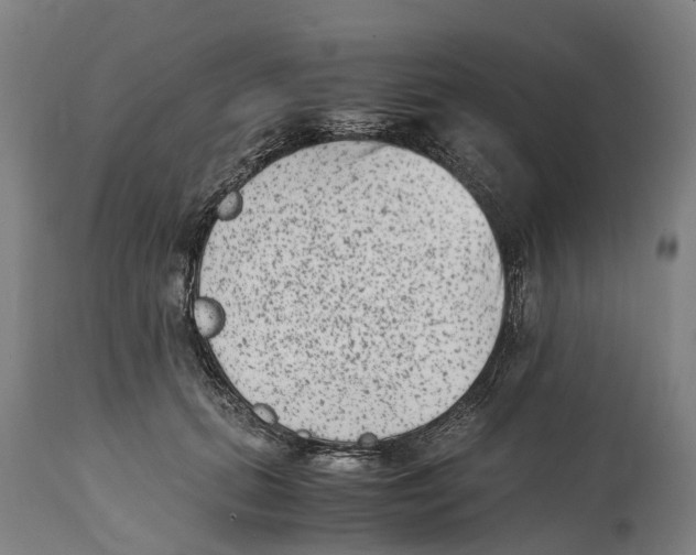 X0000114410655200911131429