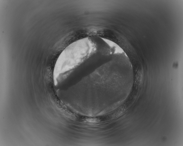 X0000114410659200911131429