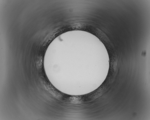 X0000114410660200911131429