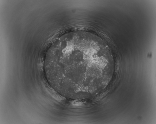 X0000114410661200911131429