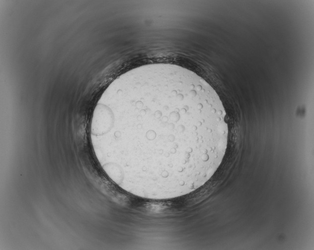 X0000114410662200911131429