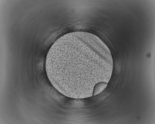 X0000114410668200911131429