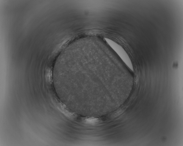 X0000114410669200911131429