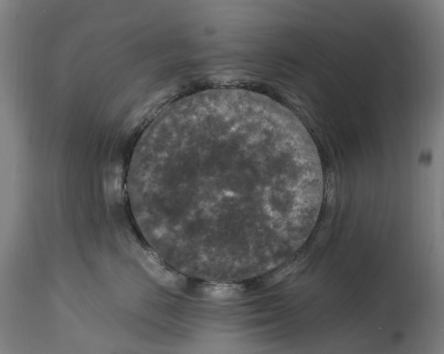 X0000114410670200911131429