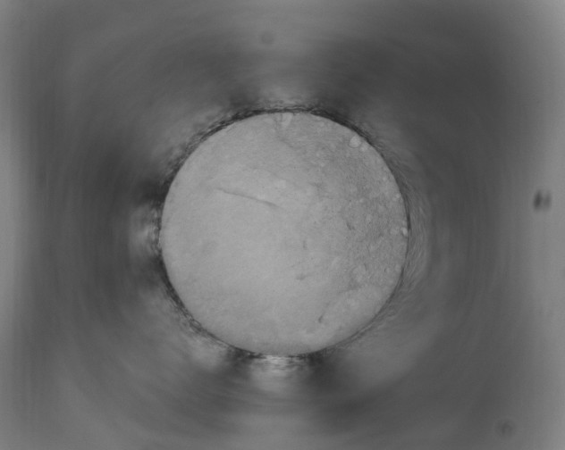 X0000114410672200911131429