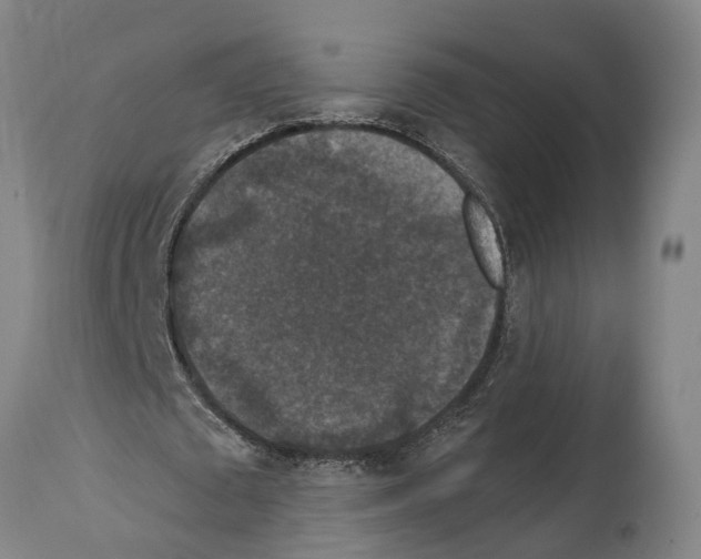 X0000114410673200911131429